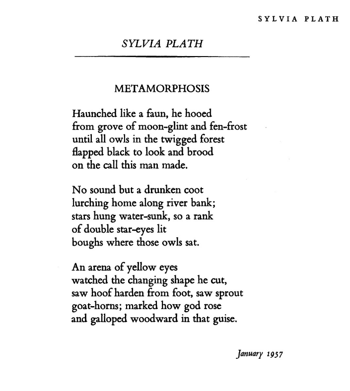 Metamorphosis-Plath